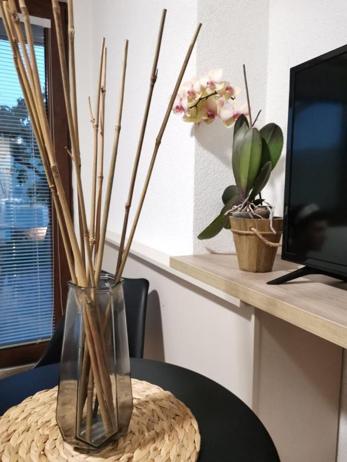 אוהריד Snegar Apartments מראה חיצוני תמונה