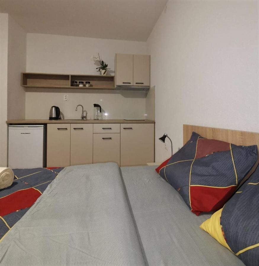 אוהריד Snegar Apartments מראה חיצוני תמונה