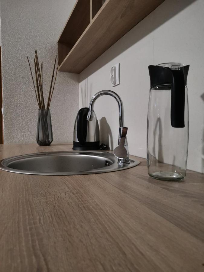 אוהריד Snegar Apartments מראה חיצוני תמונה